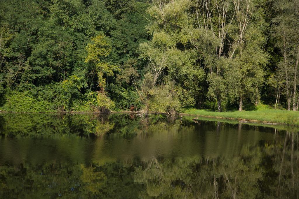 Hotel Del Lago Cavriglia Buitenkant foto